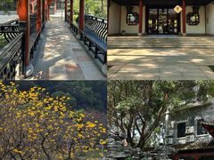 -顺峰山公园