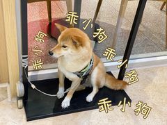 -吾悦广场(南京鼓楼店)