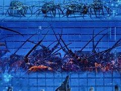 -金苑海鲜酒家(来魅力店)