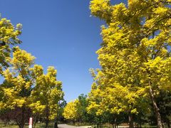 -东郊湿地公园
