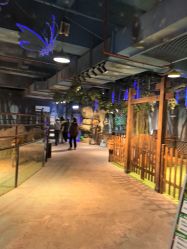 -酷嗒动物文化乐园(cutezoo西溪乐天城店)