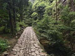 -雁荡山三折瀑景区