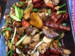 牛肝菌爆牛蛙-香巴拉云南餐厅(华莱坞店)