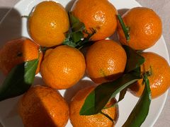 -新沸腾鱼乡(世贸天阶店)