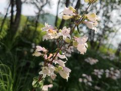 -西湖风景区-江洋畈生态公园