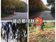 -上海海湾国家森林公园