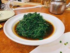 酒香金花菜-西新饭店(城中店)