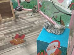 -吾悦广场(天津和平店)