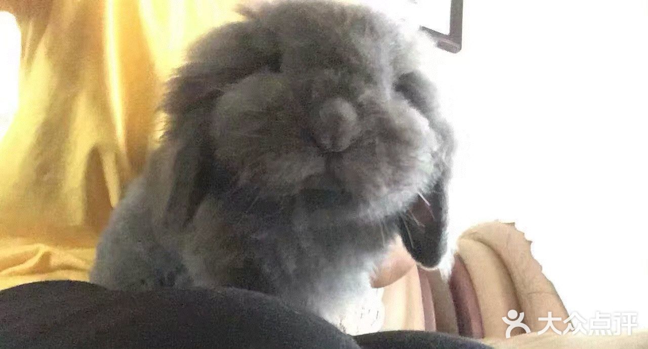 我最喜欢😘得小兔兔