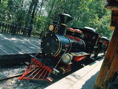 -合肥滨湖国家森林公园