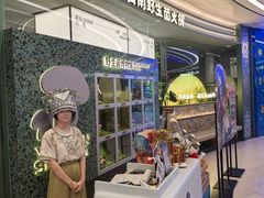 -芸山季·云南野生菌火锅(南翔印象城MEGA店)