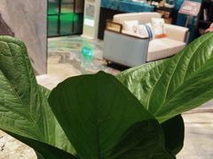 -铂尔登国际酒店(南山深圳湾口岸店)