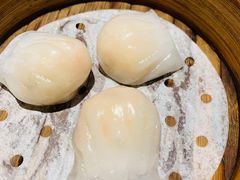 -纽斯特牛排自助餐厅(浦东文峰广场店)