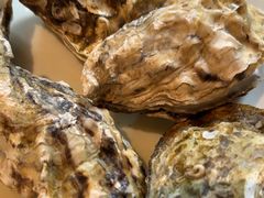-杨氏青龙虾·羊蝎子(托乐嘉店)