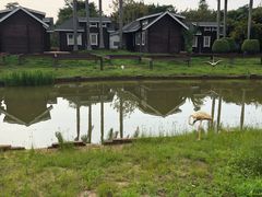 -广东花都香草世界旅游度假区
