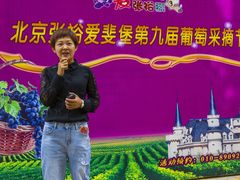 -北京张裕爱斐堡酒庄