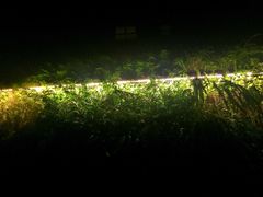 -成都博舍酒店