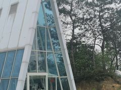 -南丹山森林王国