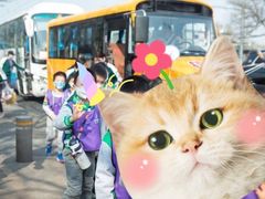 -MUFFY'S博识梦飞幼儿园(万柳园)