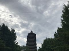 -玲珑塔公园
