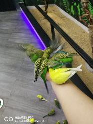 -未来动物城主题公园(正弘城店)