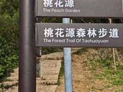 -苏州上方山国家森林公园