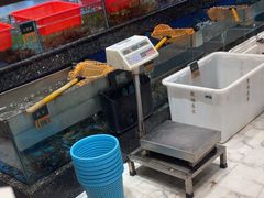 -聚福宝合苑食府(南头镇店)