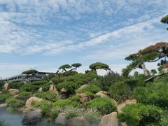 -罗红摄影艺术馆