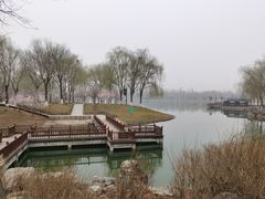 -河北省园博园