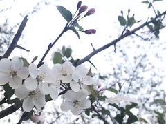 -武昌江滩