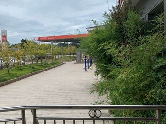 瓷城服务区停车场