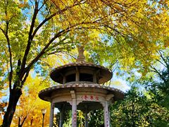 -玲珑塔公园