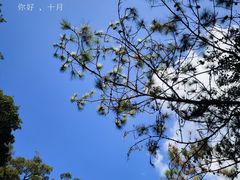 -广州白江湖森林公园