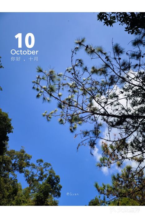 广州白江湖森林公园图片