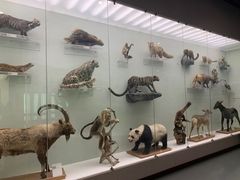 -国家自然博物馆