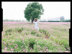 -无锡新湖铂尔曼大酒店