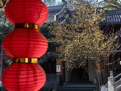 -灵谷景区