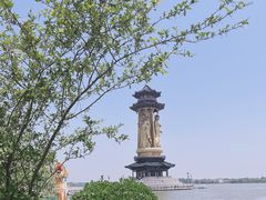 -溱湖国家湿地公园