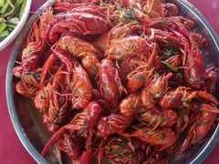 -遇龙河大樟树农家乐