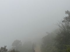 -大姆山草场