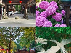 -崇州市街子古镇