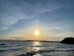 -宝安西湾红树林湿地公园