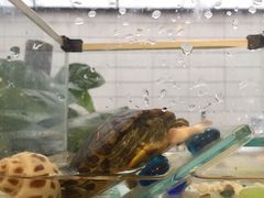 -水平有限螺蛳粉(宏达大厦店)