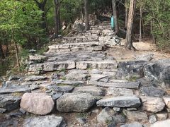 -北京鹫峰国家森林公园