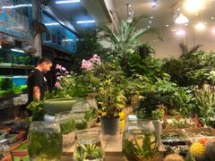 -双季花艺园艺市场(浦东店)