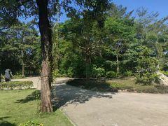 -亚龙湾国际玫瑰谷