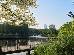 -四海公园(南山区)