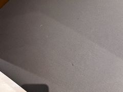 -青岛富力艾美酒店