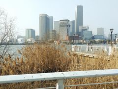 -上海山野camping·户外天幕烧烤·团建拓展营地