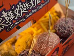 -广州长隆国际大马戏